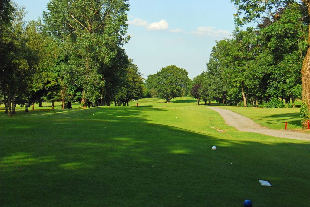 Golf course with lush green fairway, bordered by tall trees under a clear blue sky.