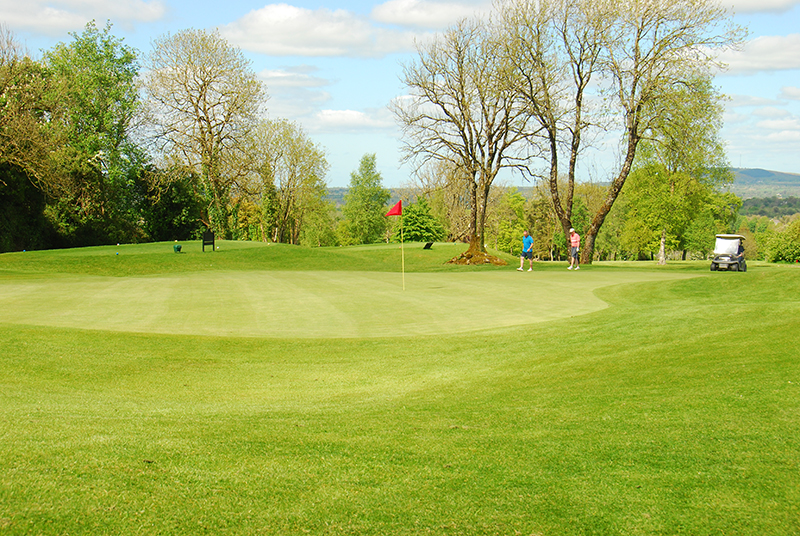 Golfers on a scenic course with golf cart, lush green fairway, and tree backdrop under a sunny sky.